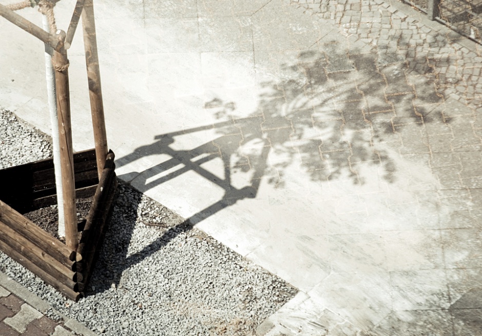 Art and Documentary Photography - Loading DSC_1211.jpg