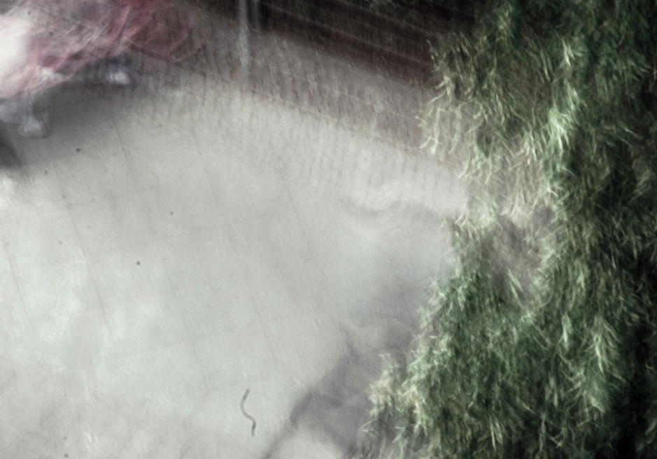 Art and Documentary Photography - Loading DSC_1218.jpg