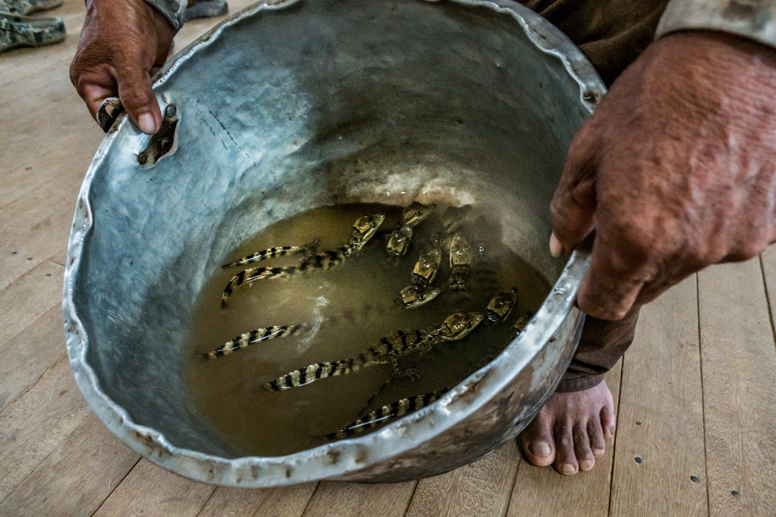 Art and Documentary Photography - Loading JHOUSTON_180316_09181.jpg