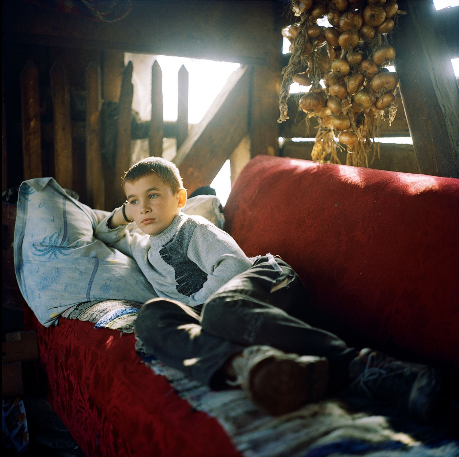 Transylvania: Built on Grass -  Andrei Rus, 12, relaxes in his fatherâ€™s palinca still...