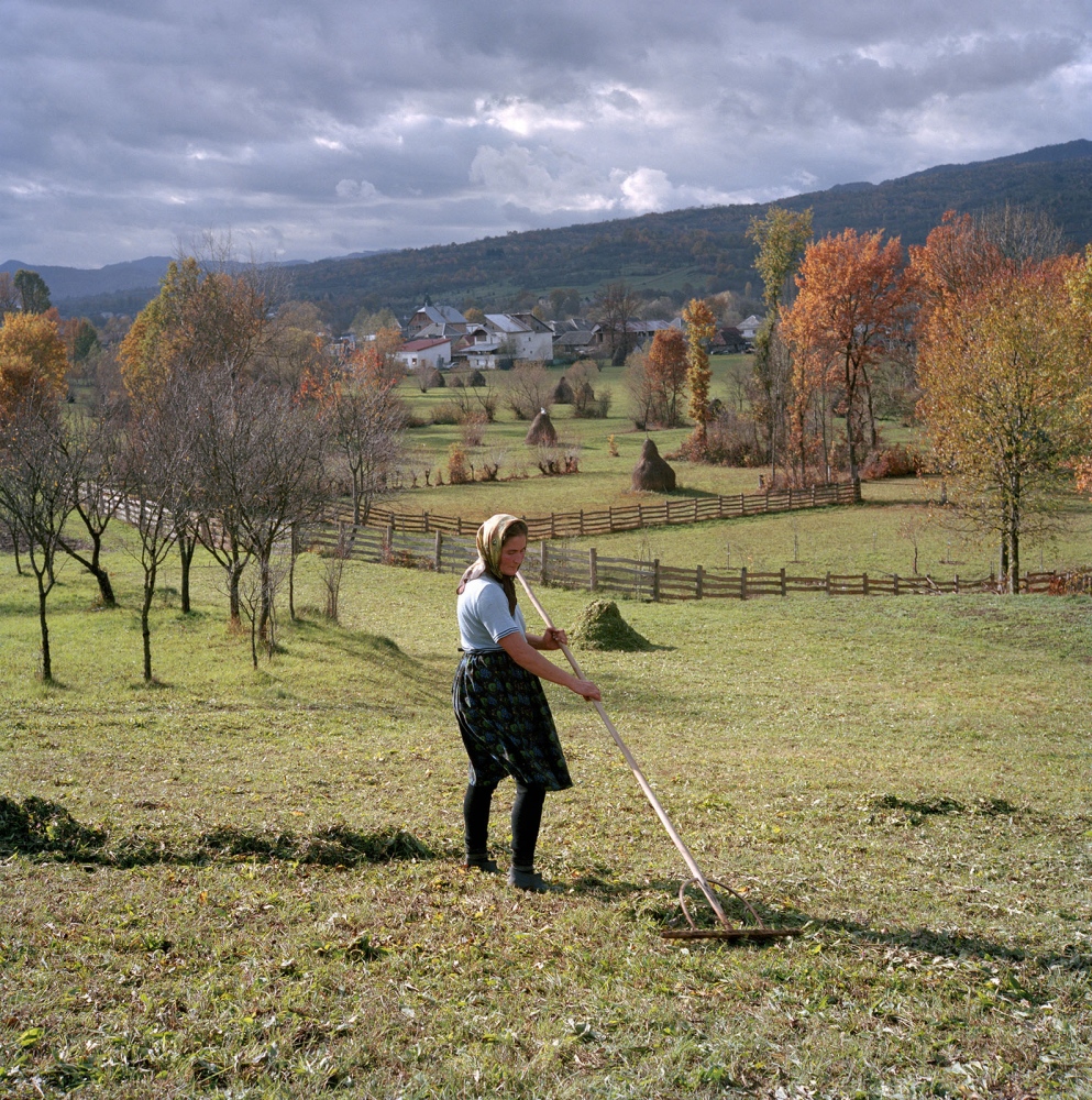 Transylvania: Built on Grass -  Ioana Oros rakes hay that she had just cut in the field,...