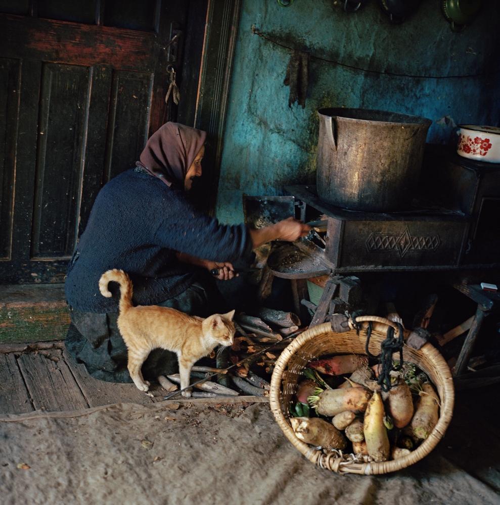 Transylvania: Built on Grass -  Elderly woman in Breb is making a stew from beetroots...
