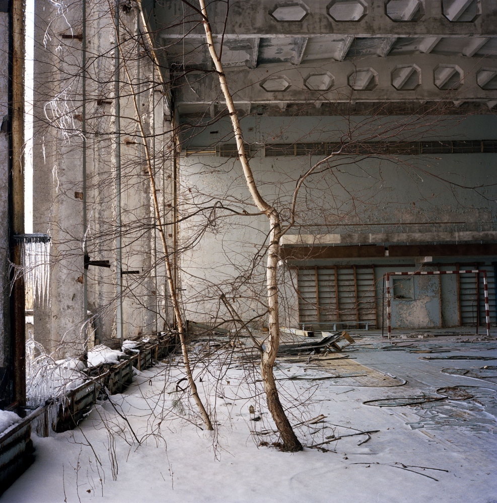Chernobyl: Still Life in the Zone  - Birch tree growing on the second floor of a GYM in the...
