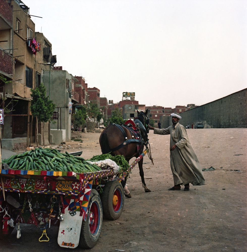 Cairo: Urban Decay -  Horse cart vendor selling cucumbers in front of informal...