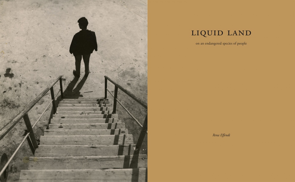BOOK: LIQUID LAND
