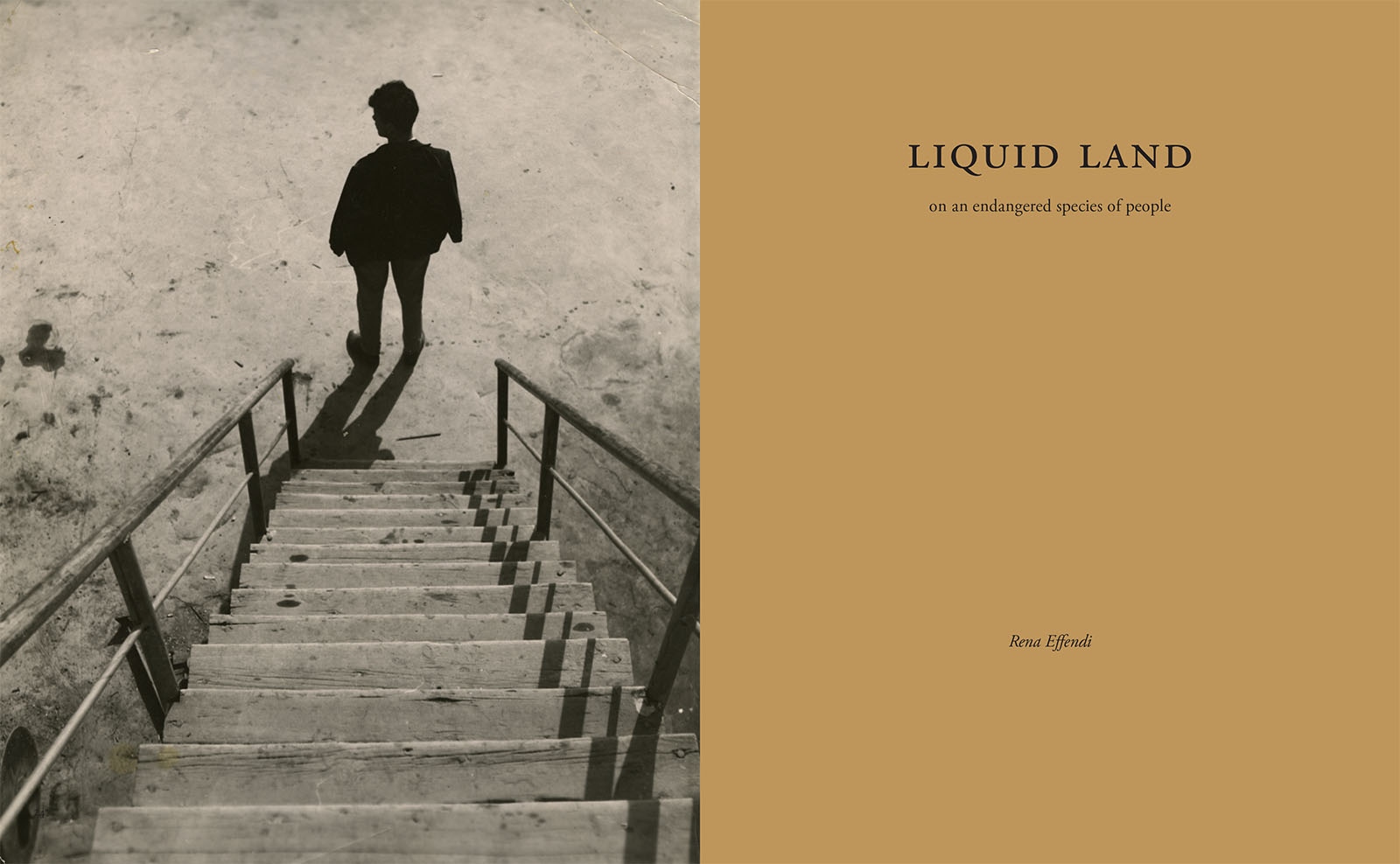 BOOK: LIQUID LAND - 
