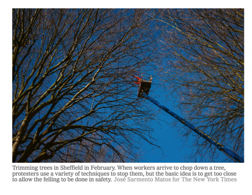 Image from FEATURES - On assignment for The New York Times in Sheffield, United...