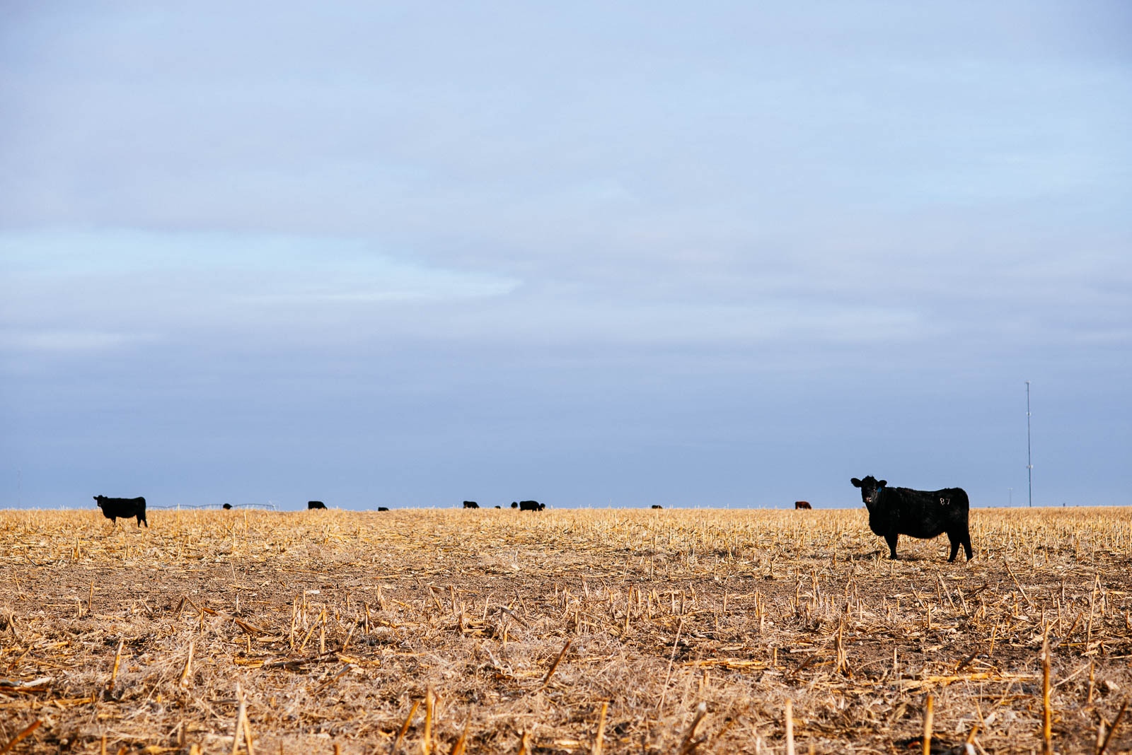 Art and Documentary Photography - Loading Trumpland_010.jpg