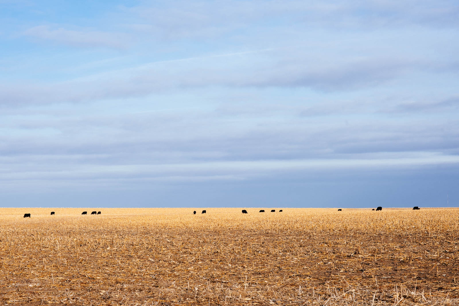 Art and Documentary Photography - Loading Trumpland_012.jpg