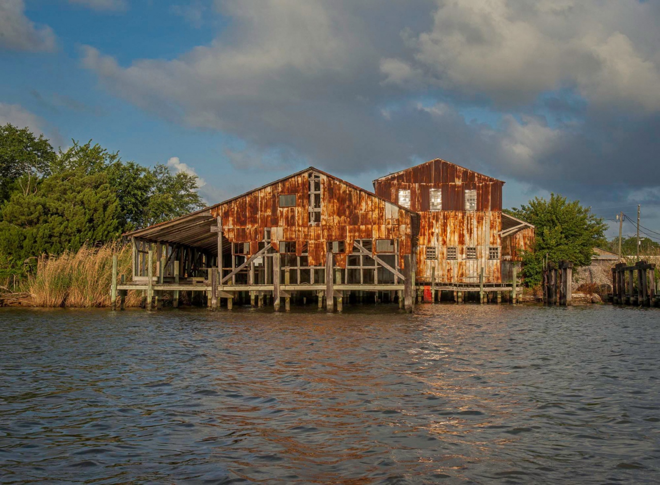 Florida’s Changing Waters by Lynne Buchanan Florida’s Changing Waters by Lynne Buchanan