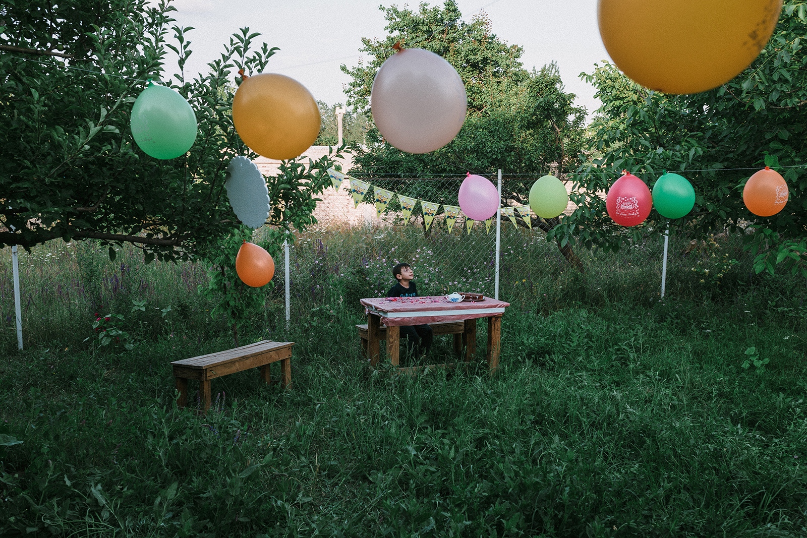 Roots -  My little cousin is waiting for his birthday party. I...
