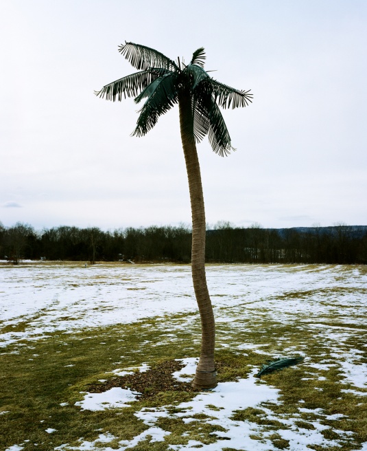 Art and Documentary Photography - Loading shimoda_10.jpg