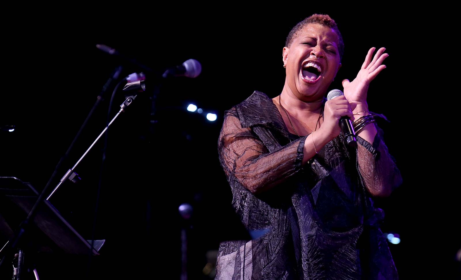 Image from Entertainment - Lisa Fischer