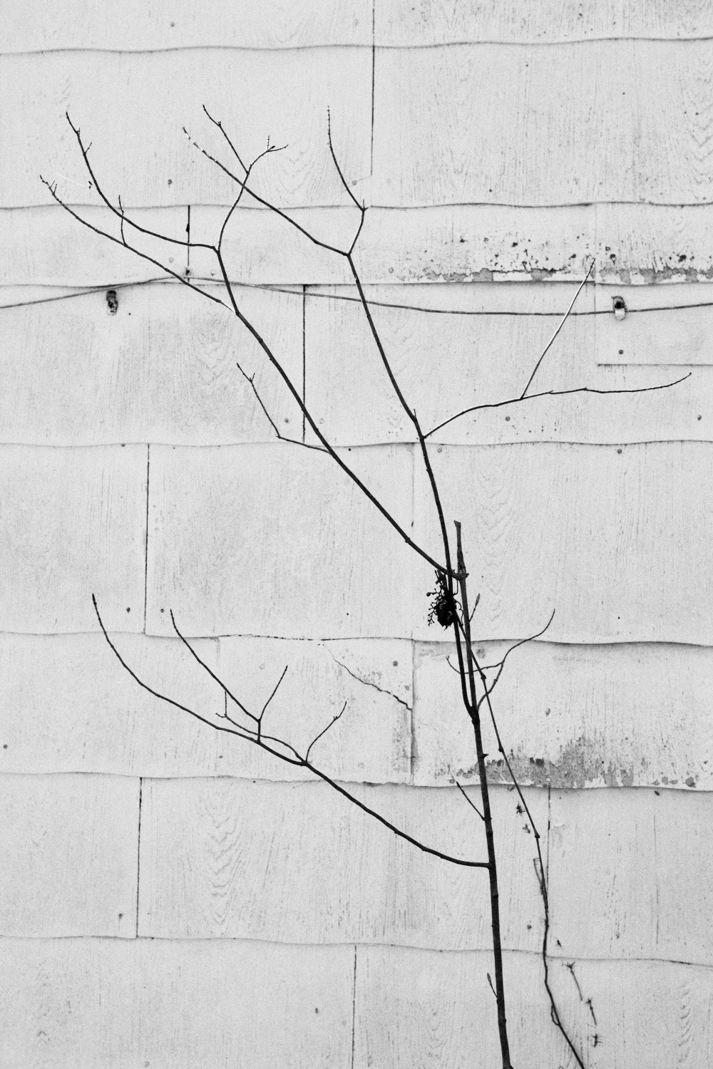 Art and Documentary Photography - Loading IMG_8699.jpg