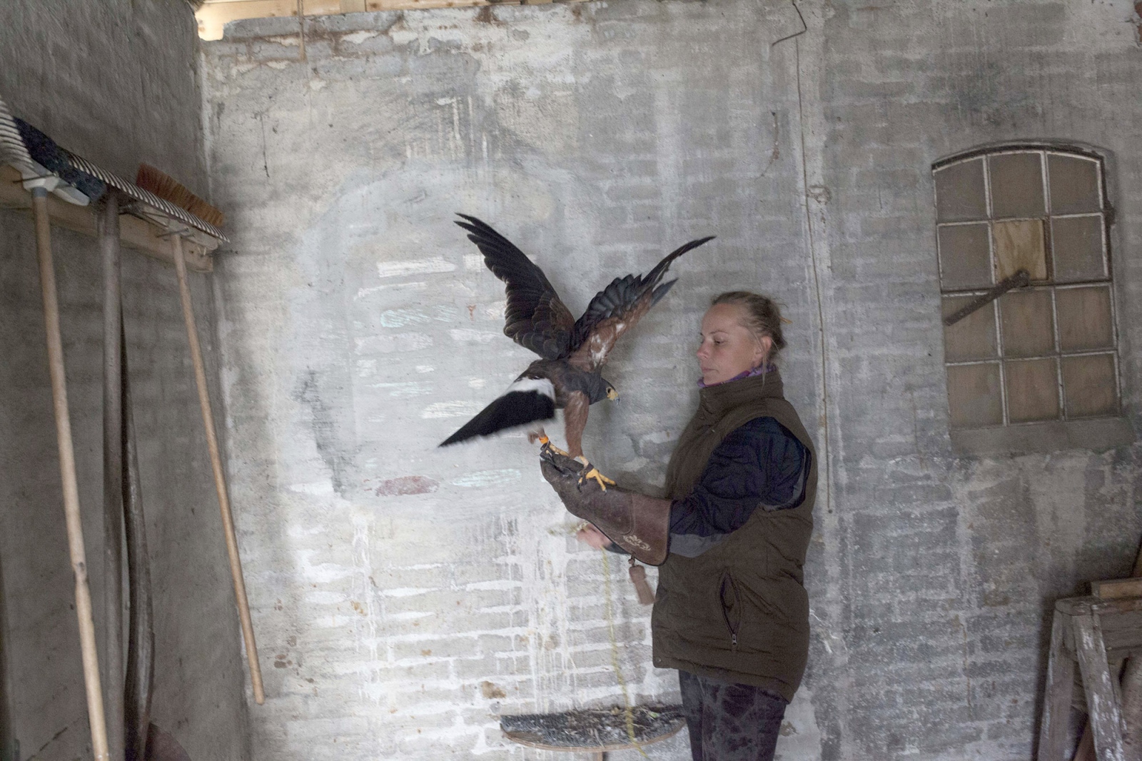 Christina Lorenzen, relocates a...r place to outside for feeding.