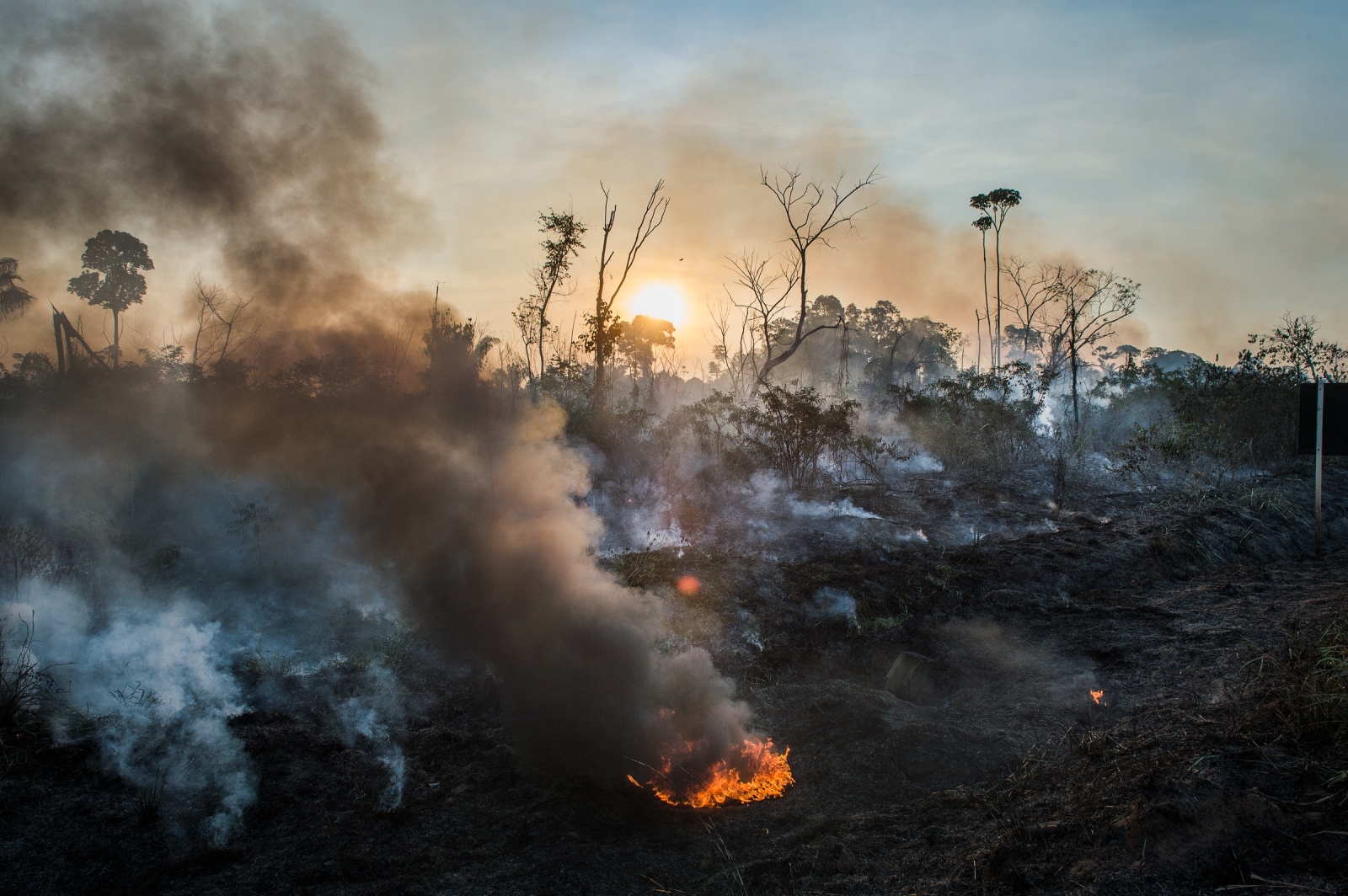 A fire lit by a rancher burns o...f Novo Progresso, Para, Brazil.