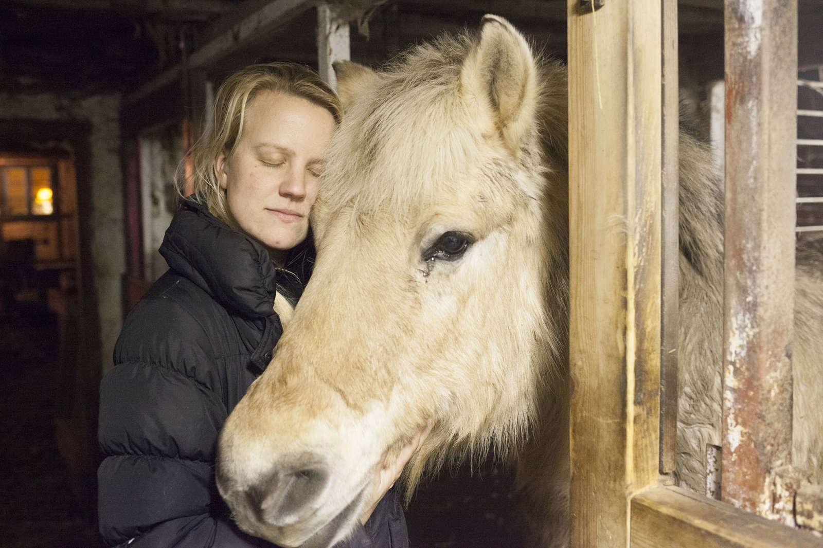  An aged pony Louise grew up with. 