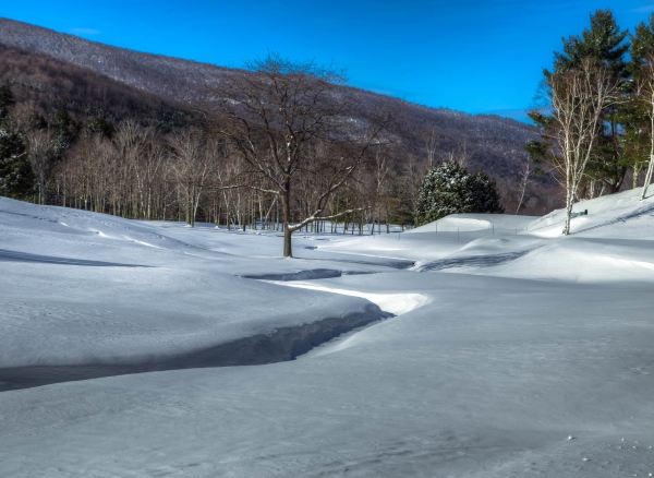 Image from Vermont Winter