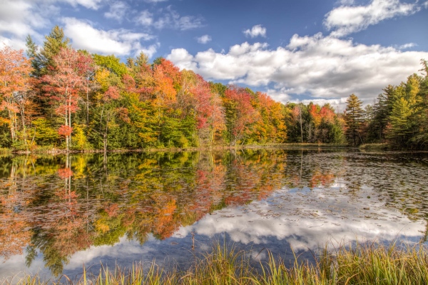 Vermont Fall - 