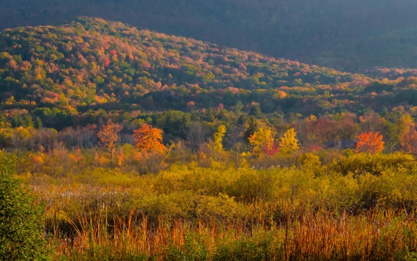 Image from Vermont Fall