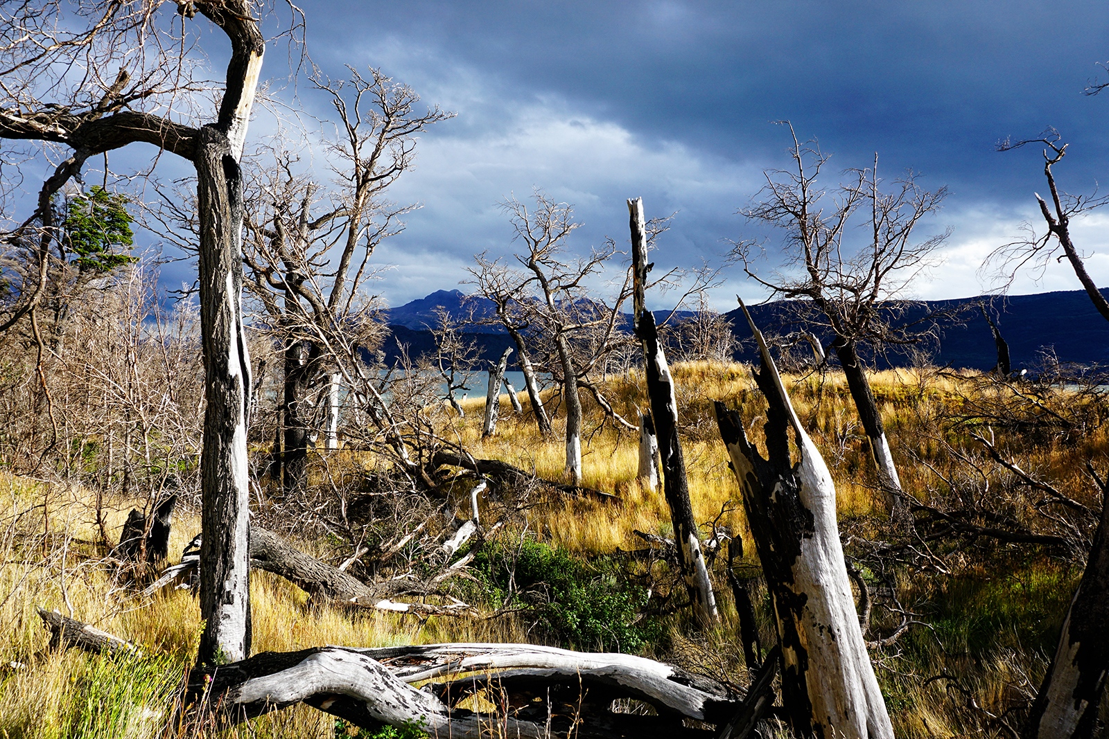 Art and Documentary Photography - Loading 60_021817.JPG