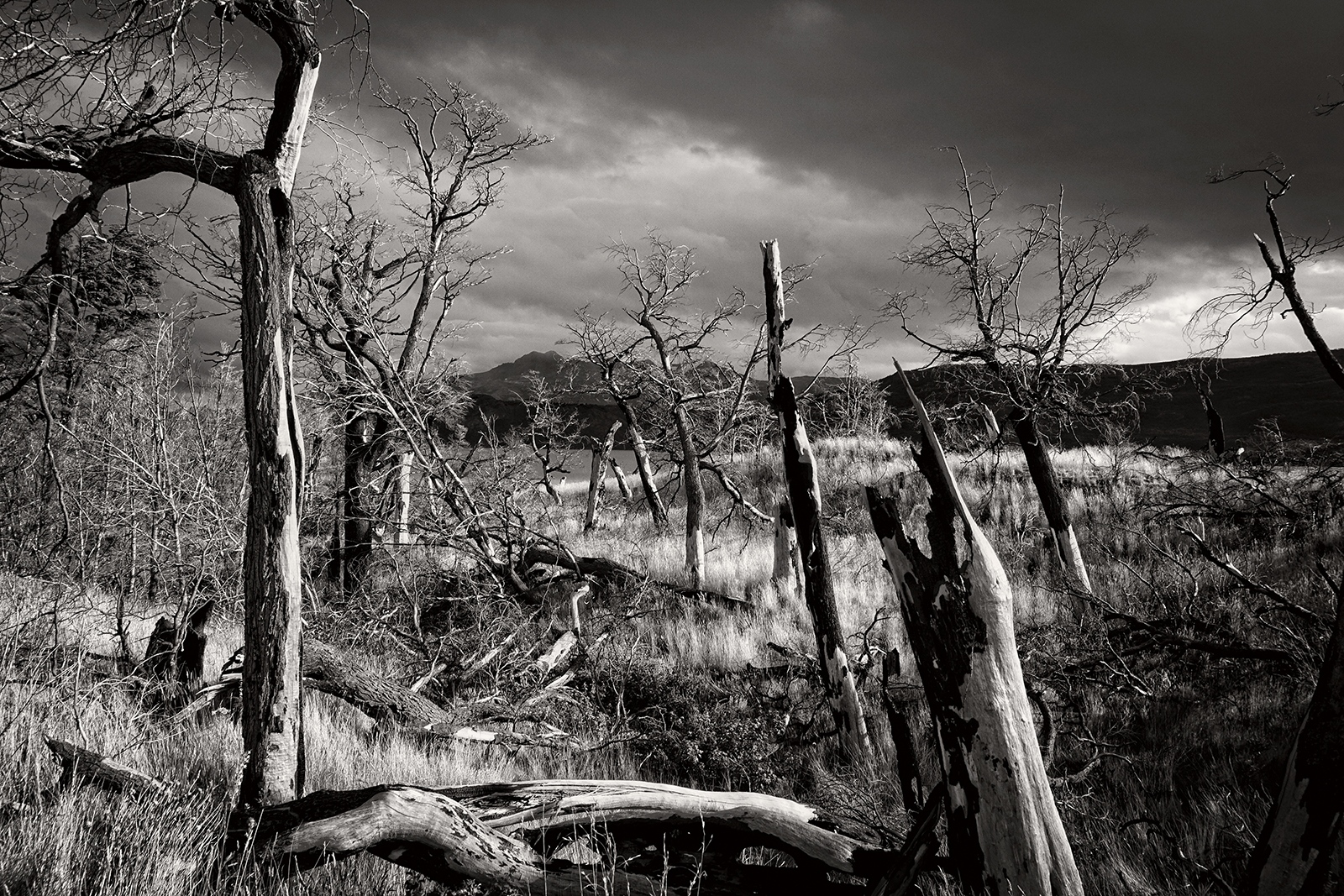 Art and Documentary Photography - Loading 60_021817a.jpg