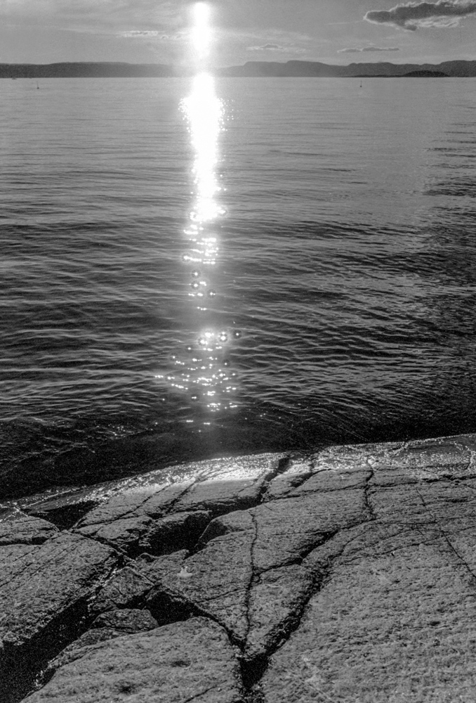 Art and Documentary Photography - Loading Rachel_Wolfe_Modern_Alchemy__web-2.jpg