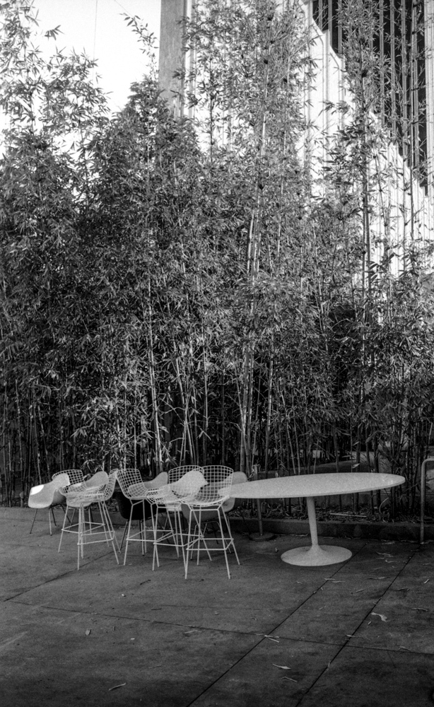 Art and Documentary Photography - Loading Rachel_Wolfe_Modern_Alchemy__web-3.jpg