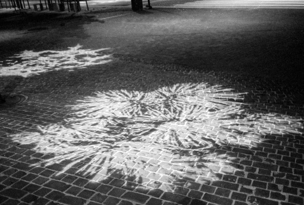 Art and Documentary Photography - Loading Rachel_Wolfe_Modern_Alchemy__web-31.jpg
