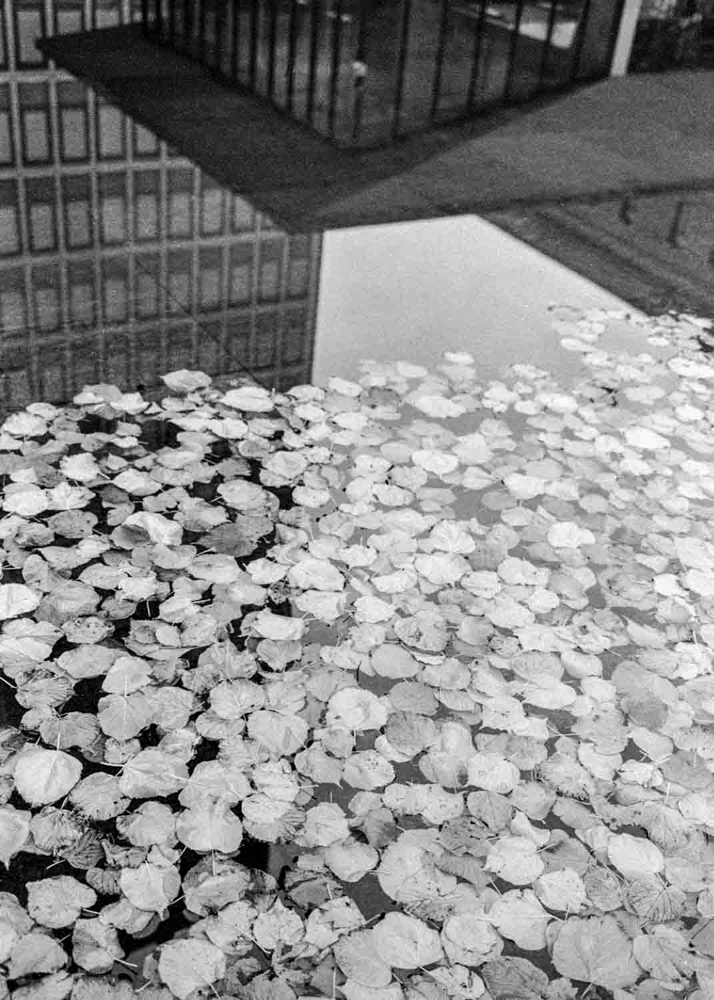 Art and Documentary Photography - Loading Rachel_Wolfe_Modern_Alchemy__web-45.jpg