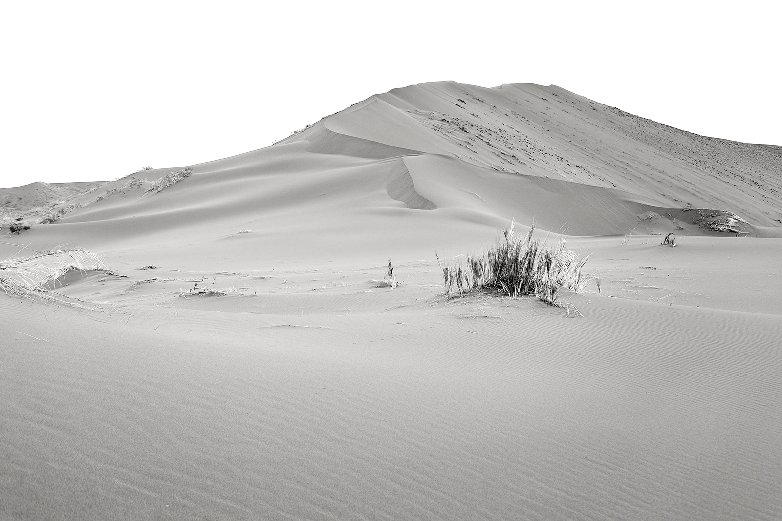 Dunes. The surreal landscape