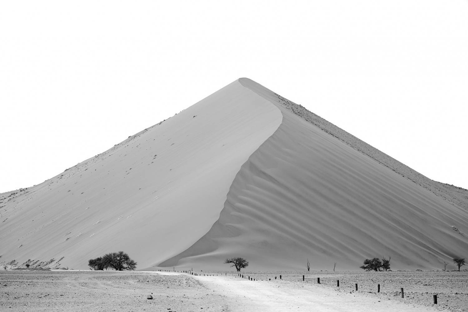 Image from Dunes. The surreal landscape
