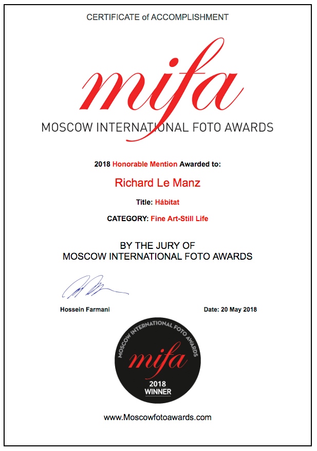 Mención de honor. Moscow Int. Photography Award