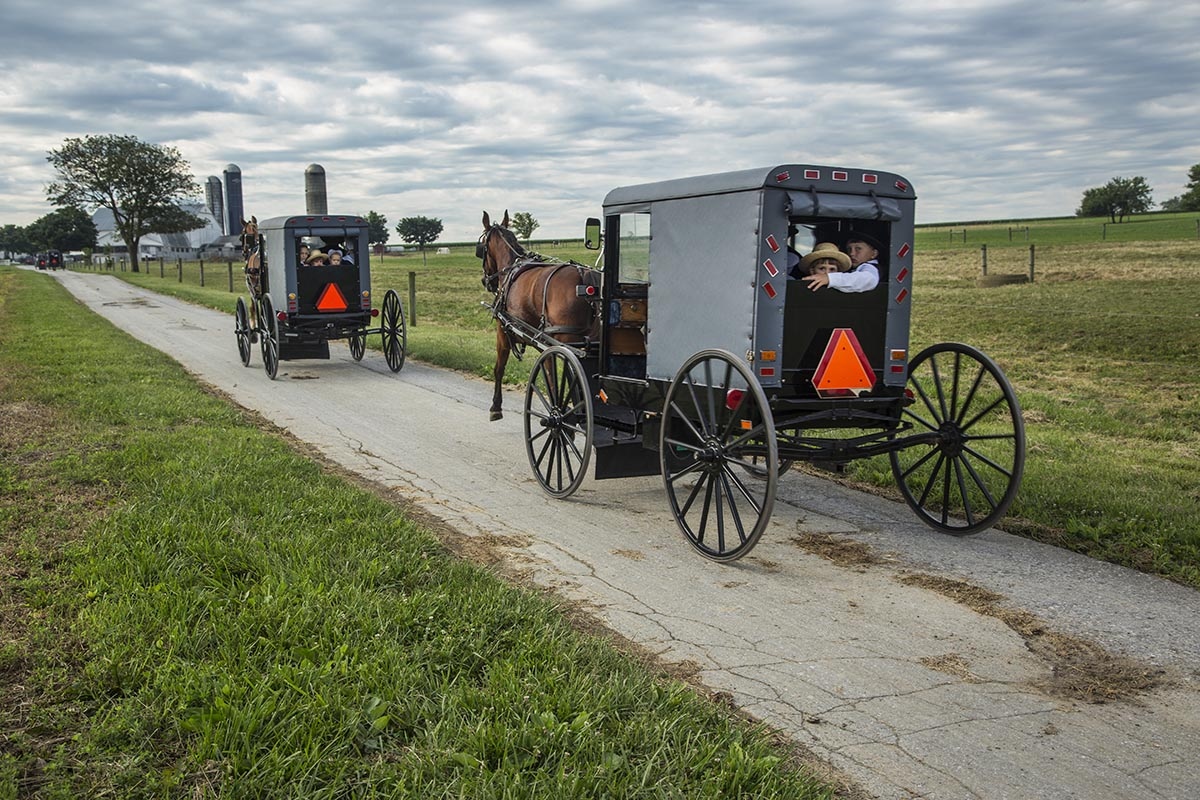 The Amish world -  Every two sundays the religious service is held in the...