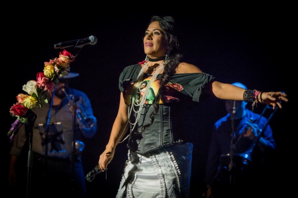 Image from MUSIC -  Lila Downs 