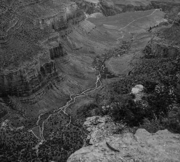 Image from Along the Rim