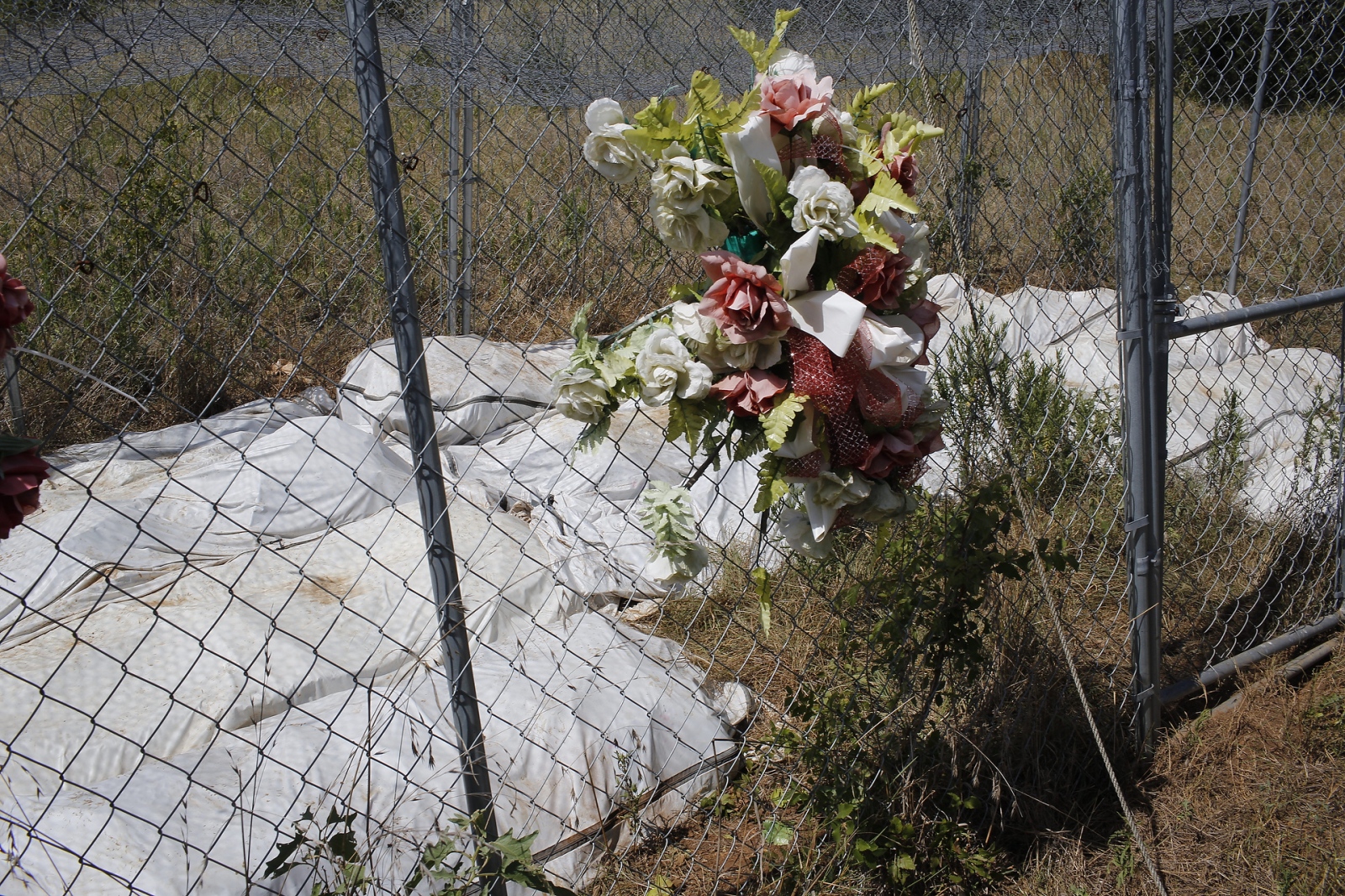 Image from Looking for America - Unidentified undocumented migrants bodies at Texas State...