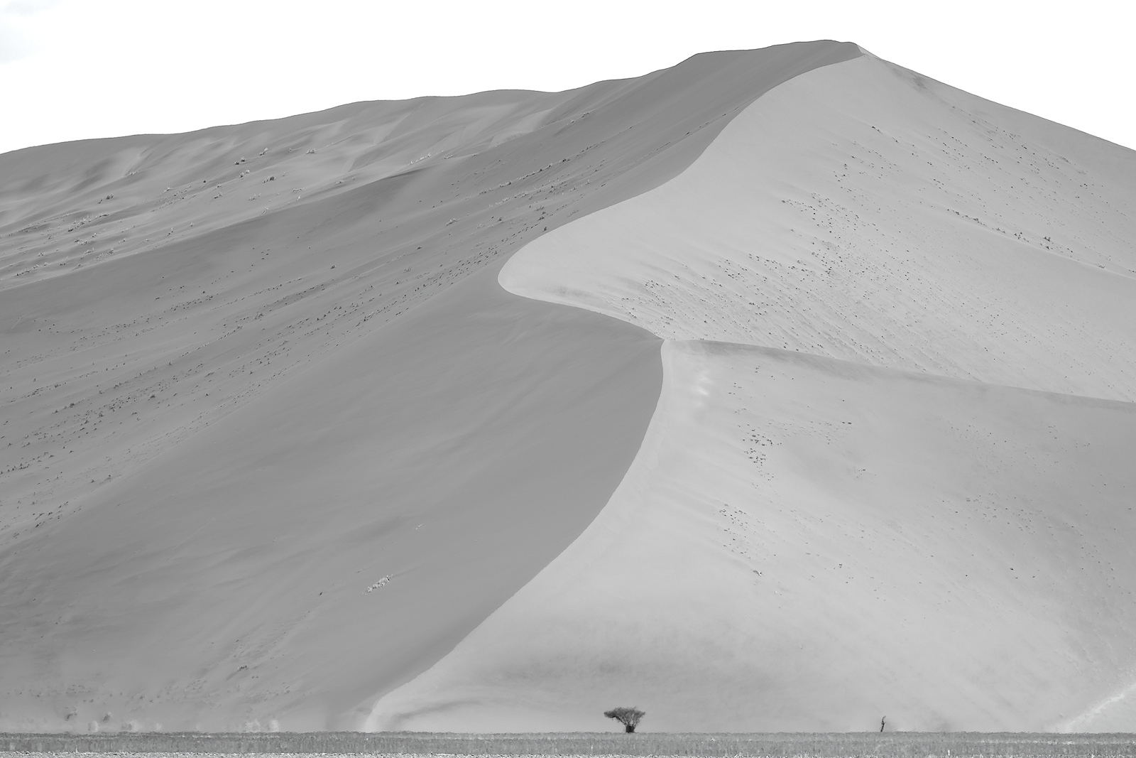 Dunes. The surreal landscape