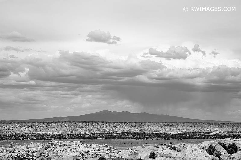 NEW WORK : NEW MEXICO