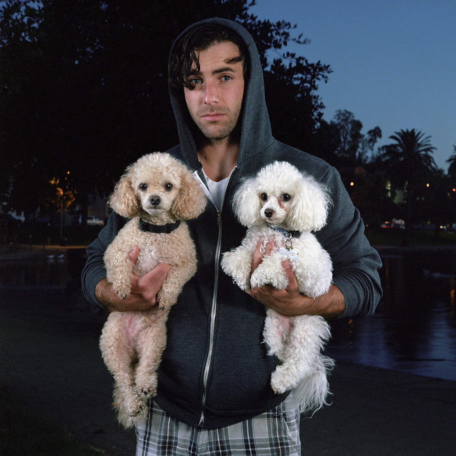 Dog Walkers of Echo Park - 