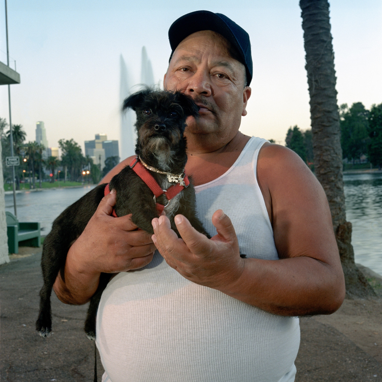 Dog Walkers of Echo Park - 