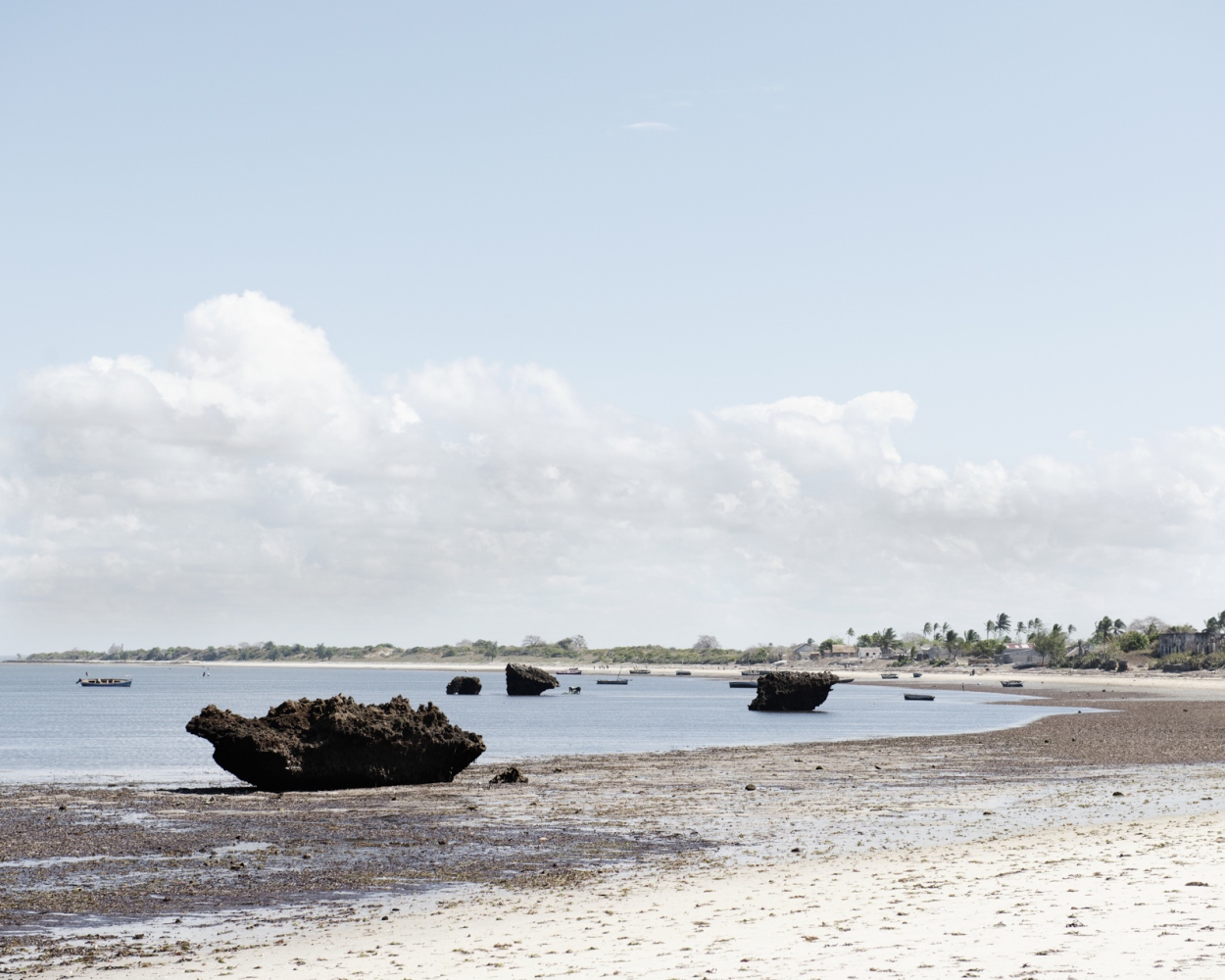  The coast near Ilha de Mozambique. A local fisherman remembered that until 2014/2015, when the...