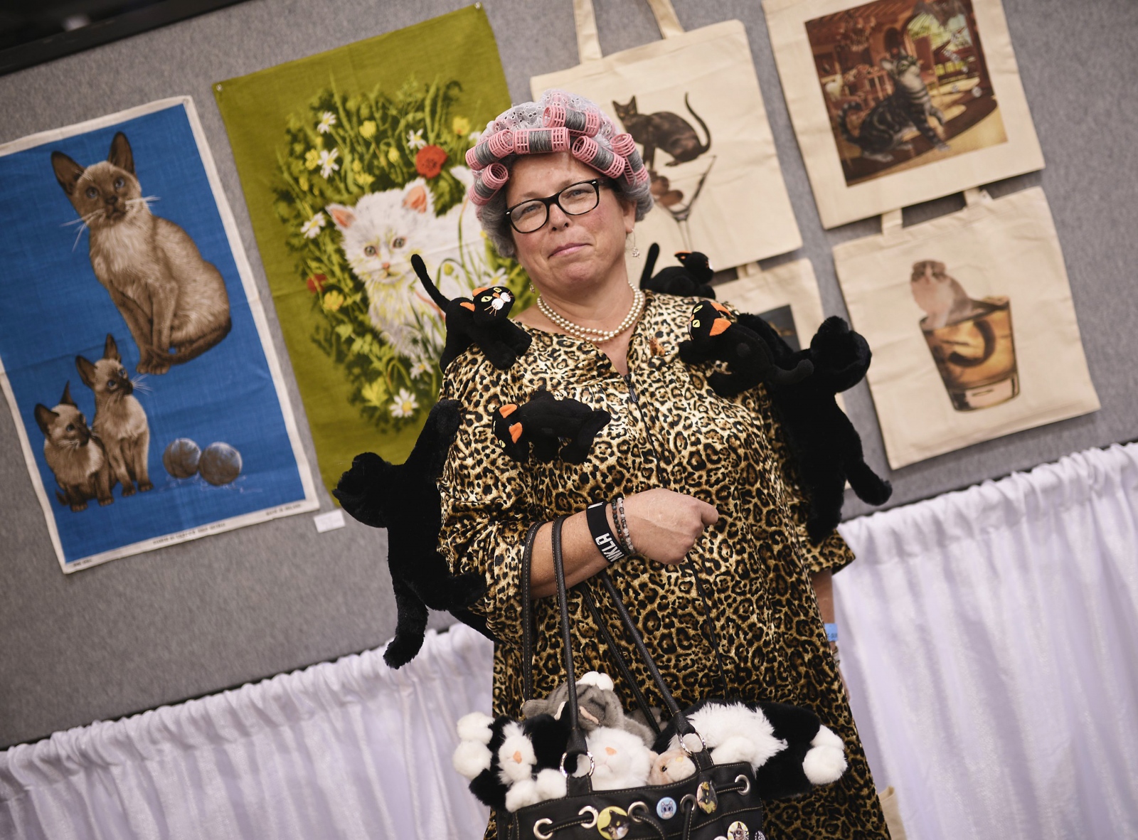 Image from CatCon