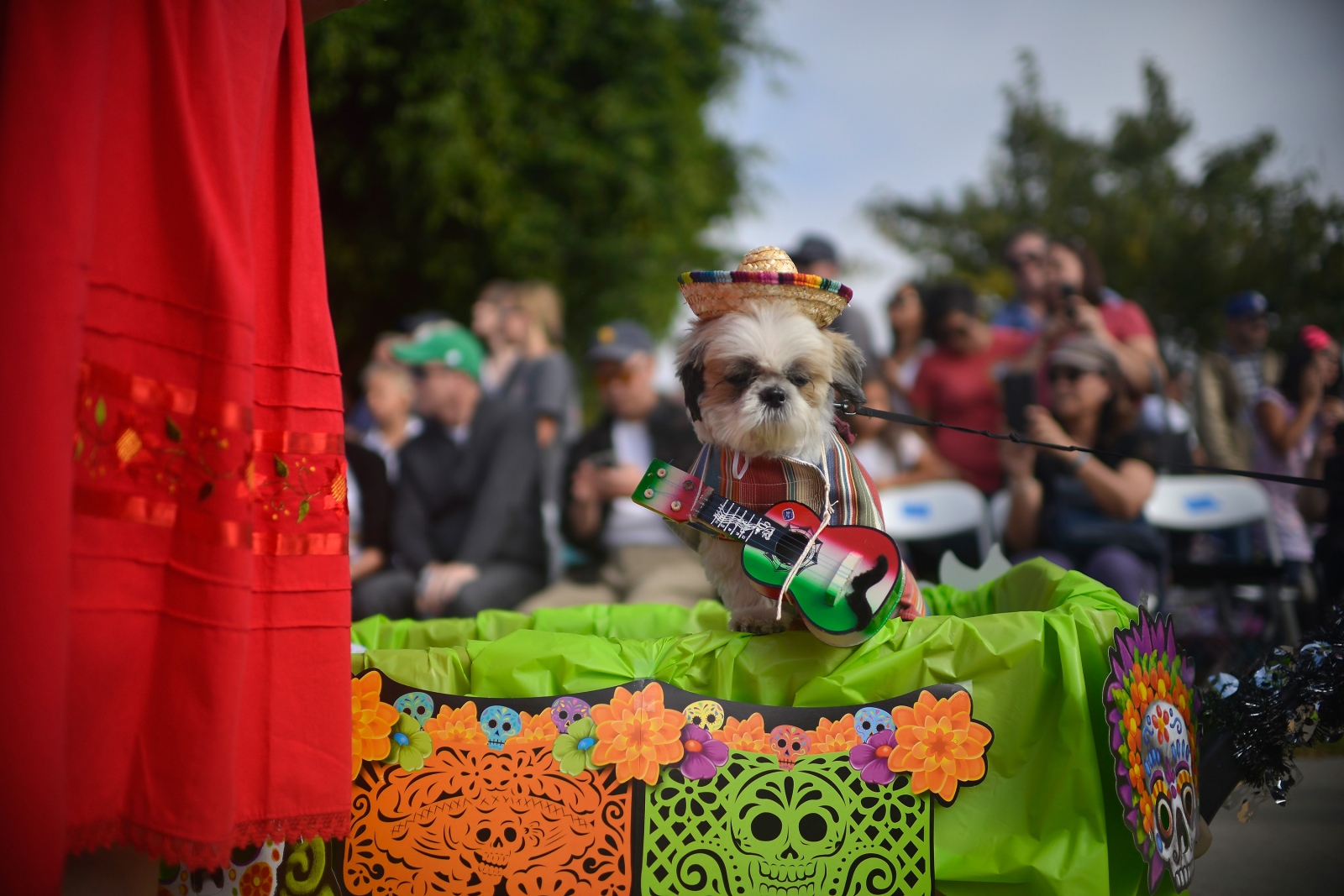 Image from Howl'oween Parade