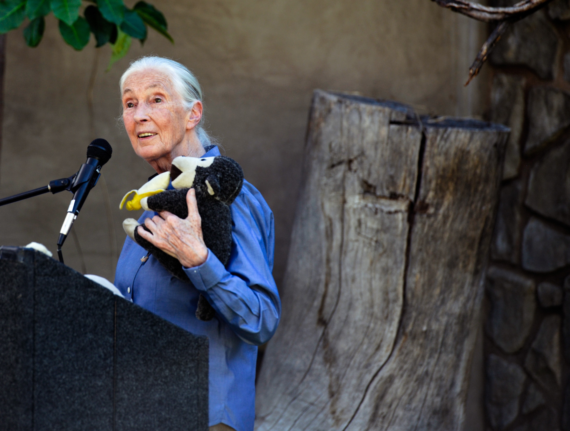Jane Goodall's Day of Peace