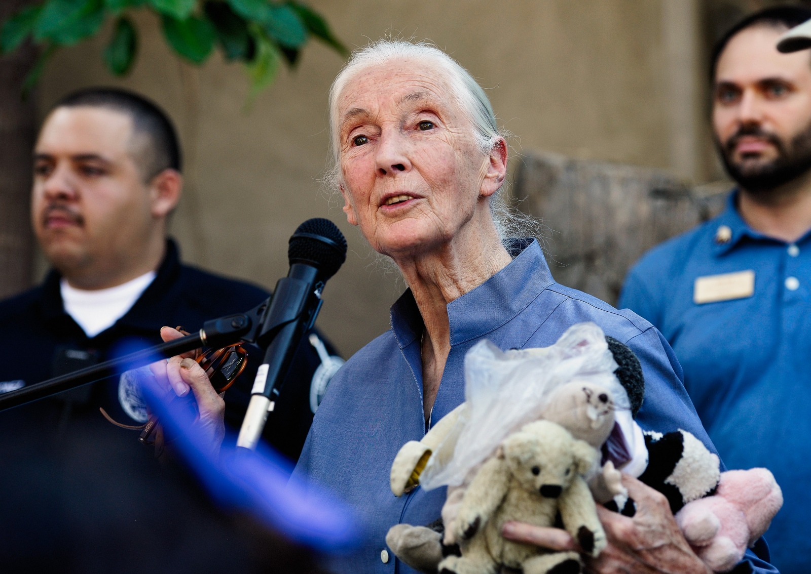 Image from Jane Goodall's Day of Peace