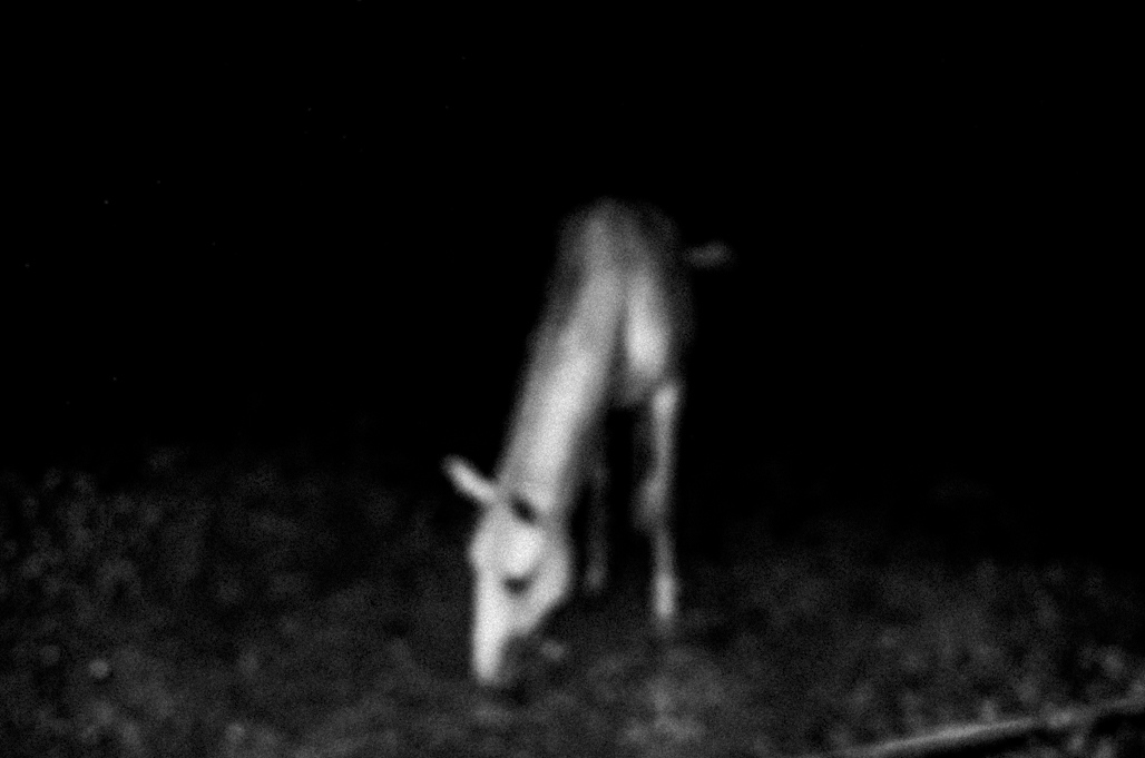 Art and Documentary Photography - Loading 01082016-R0003338.jpg