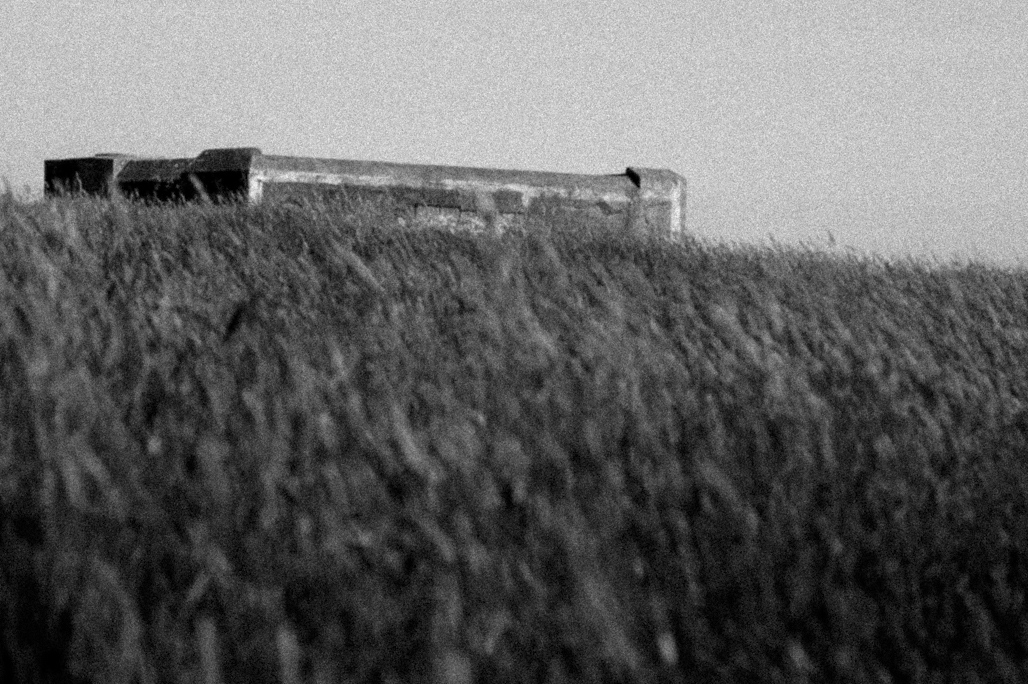 Art and Documentary Photography - Loading 2009-05-02_a___09-29-32.jpg
