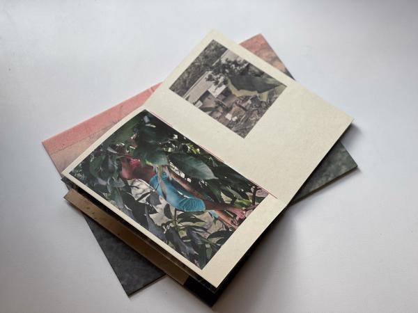 Image from A machete pelao (Raya eds, Colección AñZ) -   