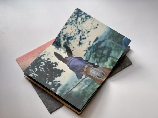 Image from A machete pelao (Raya eds, Colección AñZ) -   